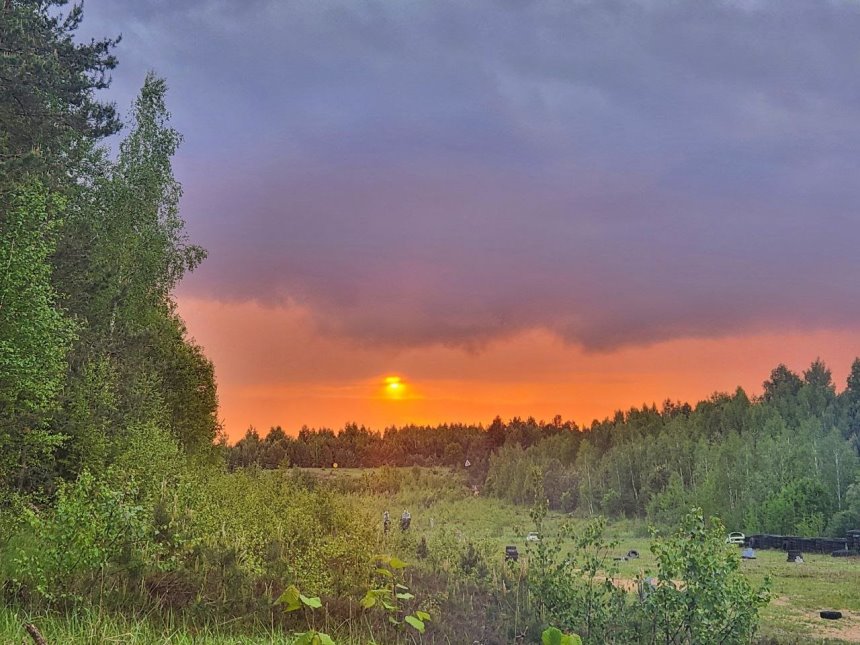 image gallery