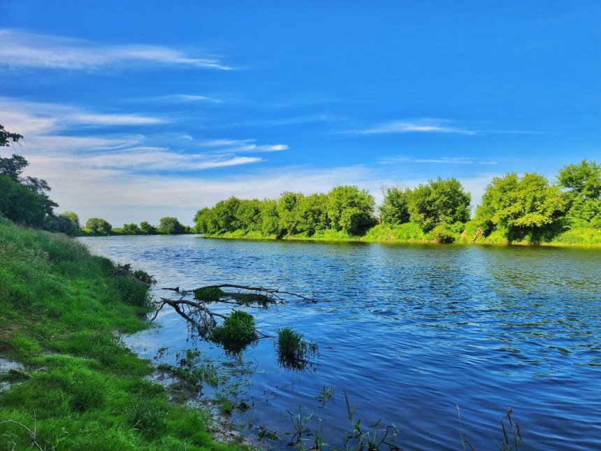 image gallery