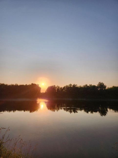 image gallery