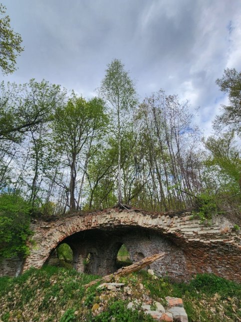 image gallery