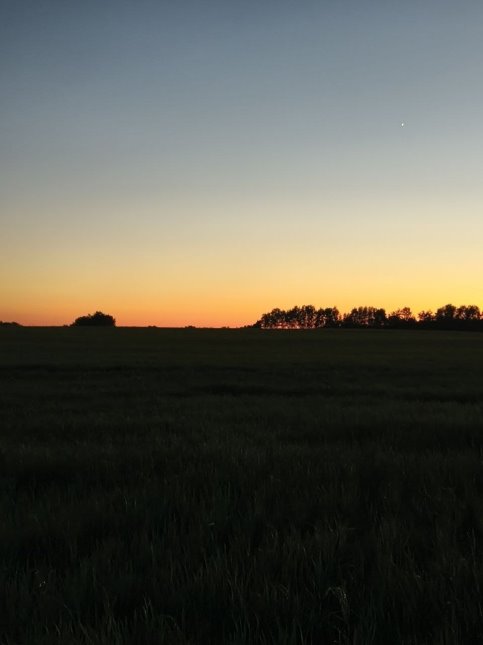 image gallery