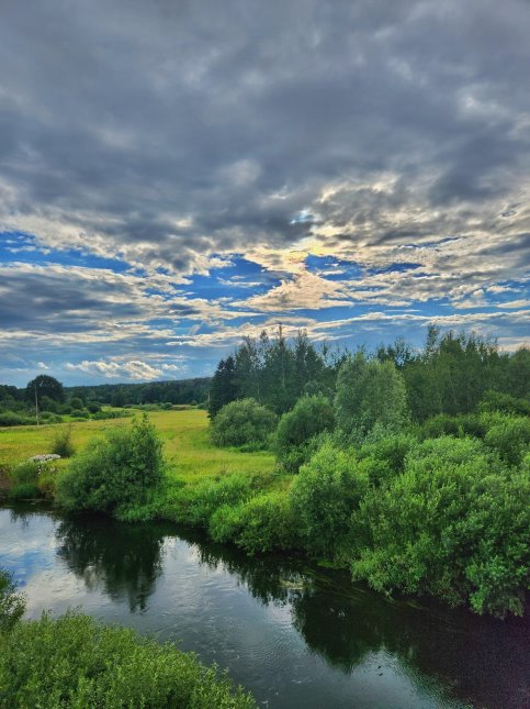 image gallery