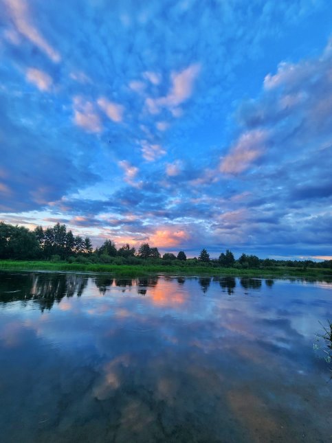 image gallery