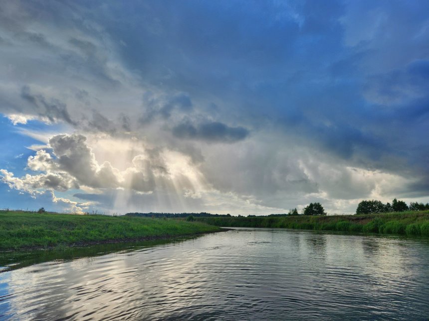image gallery